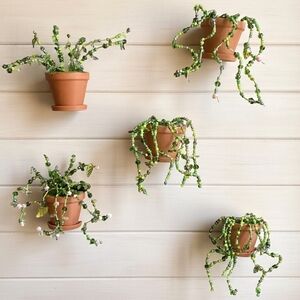 Handbeaded Potted Plant Magnet Set